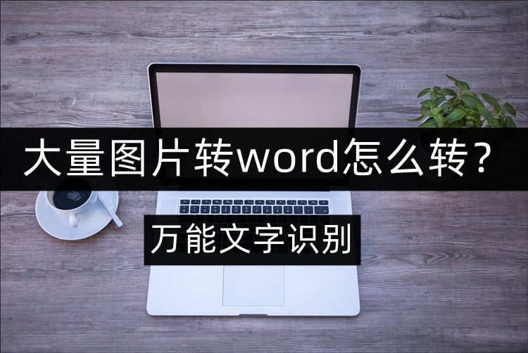 大量图片转word的操作步骤分享