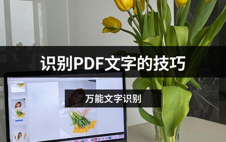 识别PDF文字的技巧