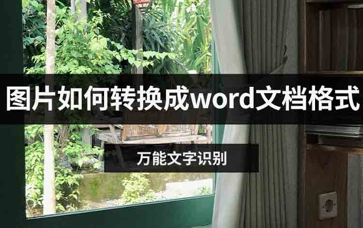 图片如何转换成word文档格式